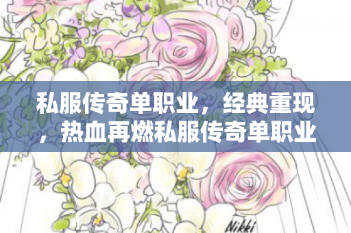私服传奇单职业，经典重现，热血再燃私服传奇单职业最新传奇世界私服
