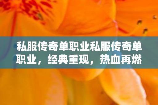 私服传奇单职业私服传奇单职业，经典重现，热血再燃网通变态传奇私服
