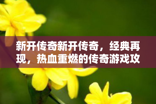 新开传奇新开传奇，经典再现，热血重燃的传奇游戏攻略传奇私服1.76
