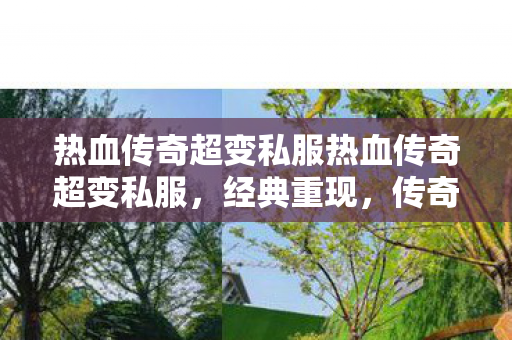 热血传奇超变私服热血传奇超变私服，经典重现，传奇再续新开变态私服