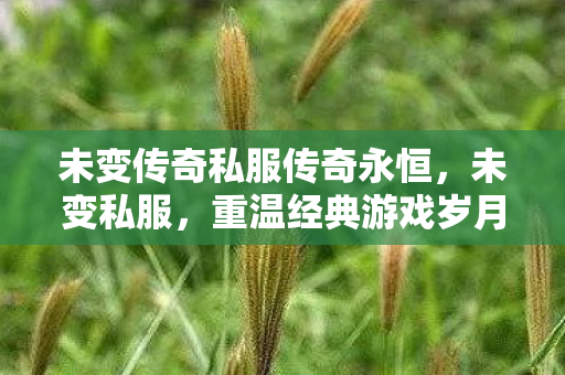 未变传奇私服传奇永恒，未变私服，重温经典游戏岁月3d热血传奇