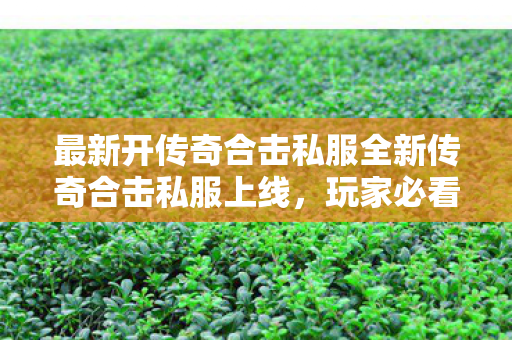 最新开传奇合击私服全新传奇合击私服上线，玩家必看攻略变态复古传奇私服