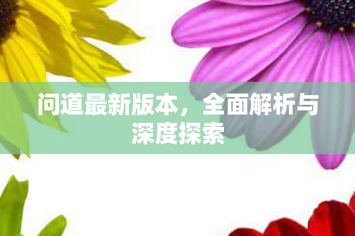 问道最新版本，全面解析与深度探索