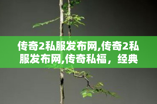 传奇2私服发布网,传奇2私服发布网,传奇私福，经典游戏的深度探索与体验
