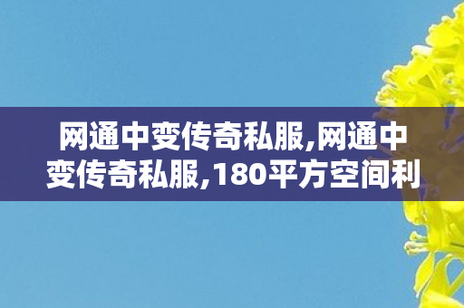 网通中变传奇私服,网通中变传奇私服,180平方空间利用与装修设计，打造舒适与高效的居住环境