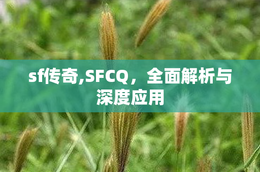 sf传奇,SFCQ，全面解析与深度应用