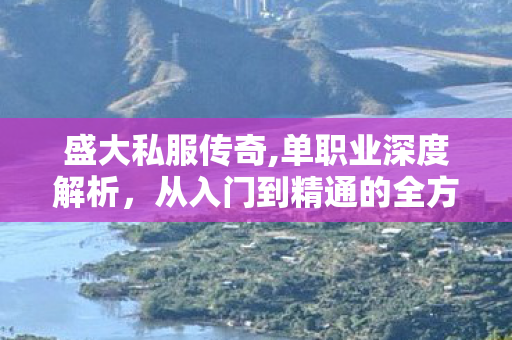 盛大私服传奇,单职业深度解析，从入门到精通的全方位指南