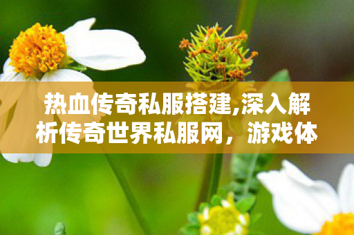 热血传奇私服搭建,深入解析传奇世界私服网，游戏体验、1与1责任