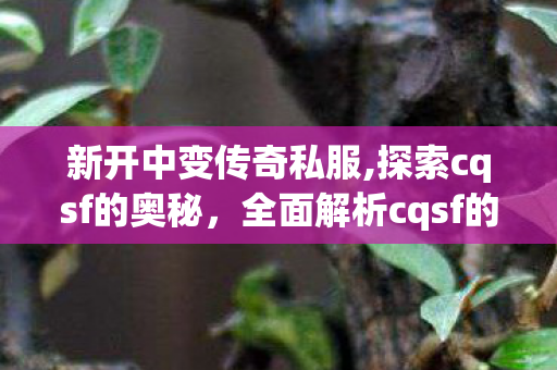新开中变传奇私服,探索cqsf的奥秘，全面解析cqsf的定义、应用与未来发展