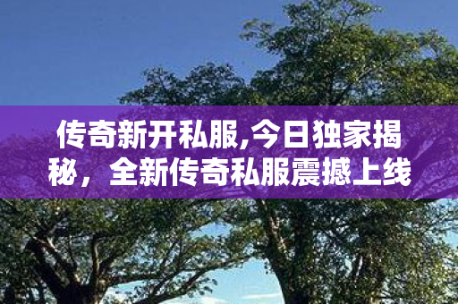 传奇新开私服,今日独家揭秘，全新传奇私服震撼上线，玩家必看攻略
