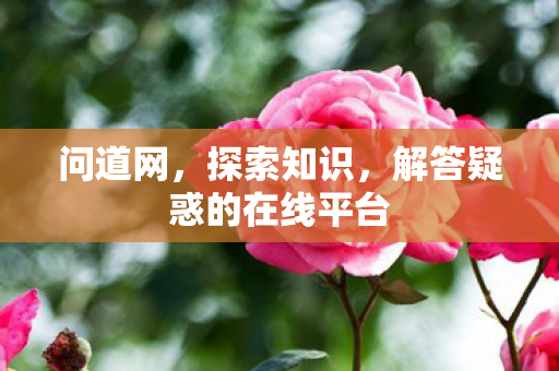 问道网，探索知识，解答疑惑的在线平台