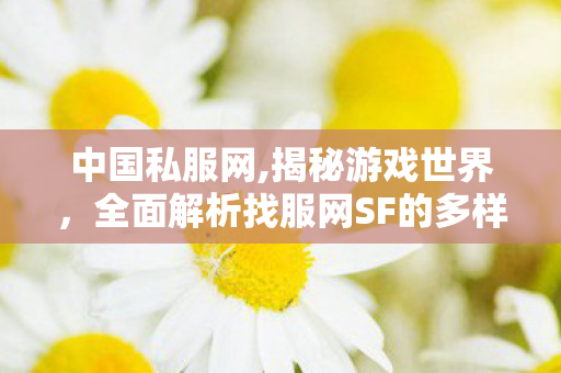 中国私服网,揭秘游戏世界，全面解析找服网SF的多样玩法与特1
