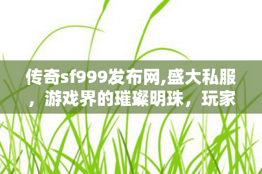传奇sf999发布网,盛大私服，游戏界的璀璨明珠，玩家心中的经典传奇