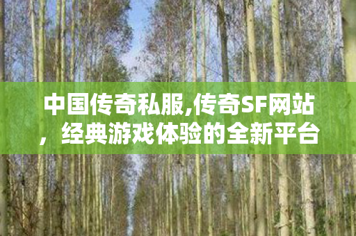 中国传奇私服,传奇SF网站，经典游戏体验的全新平台