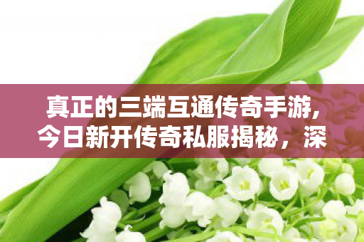 真正的三端互通传奇手游,今日新开传奇私服揭秘，深度解析游戏魅力与全面指南