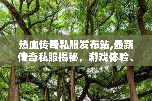 热血传奇私服发布站,最新传奇私服揭秘，游戏体验、安全保障与11分析