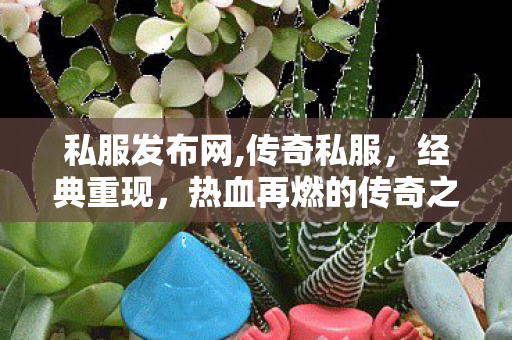 私服发布网,传奇私服，经典重现，热血再燃的传奇之旅