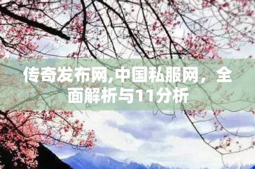 传奇发布网,中国私服网，全面解析与11分析