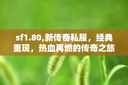 sf1.80,新传奇私服，经典重现，热血再燃的传奇之旅