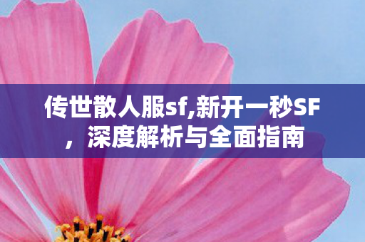 传世散人服sf,新开一秒SF，深度解析与全面指南