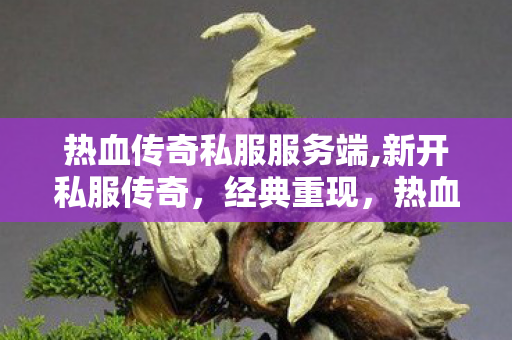热血传奇私服服务端,新开私服传奇，经典重现，热血再启