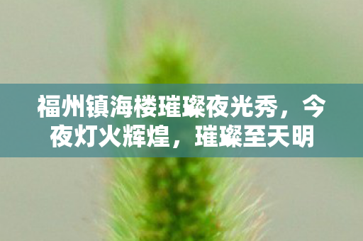 福州镇海楼璀璨夜光秀，今夜灯火辉煌，璀璨至天明