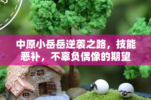 中原小岳岳逆袭之路，技能恶补，不辜负偶像的期望