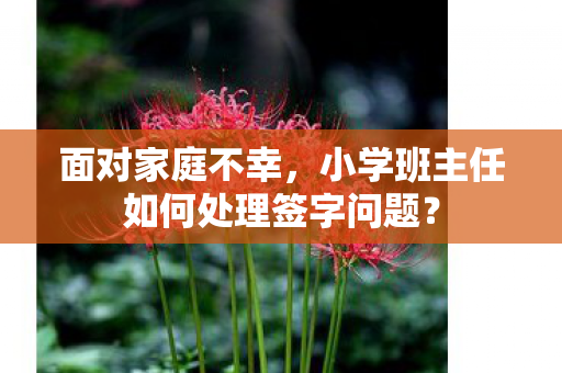 面对家庭不幸，小学班主任如何处理签字问题？