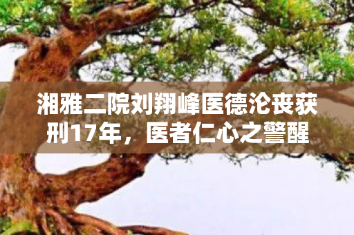 湘雅二院刘翔峰医德沦丧获刑17年，医者仁心之警醒