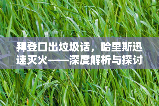 拜登口出垃圾话，哈里斯迅速灭火——深度解析与探讨