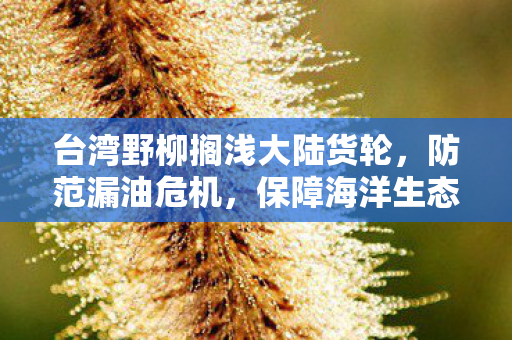 台湾野柳搁浅大陆货轮，防范漏油危机，保障海洋生态安全