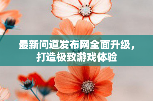 最新问道发布网全面升级，打造极致游戏体验