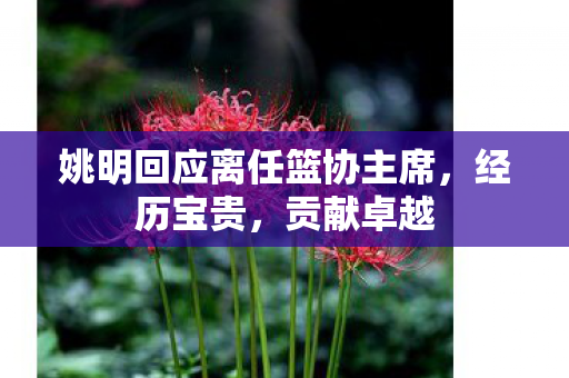 姚明回应离任篮协主席，经历宝贵，贡献卓越