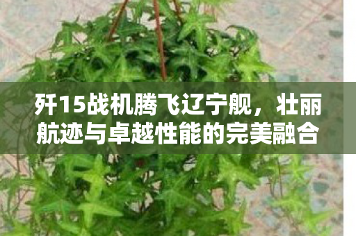 歼15战机腾飞辽宁舰，壮丽航迹与卓越性能的完美融合