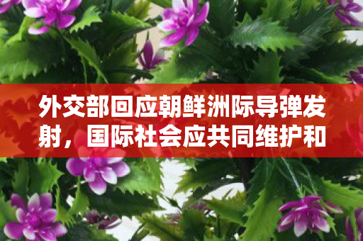 外交部回应朝鲜洲际导弹发射，国际社会应共同维护和平稳定