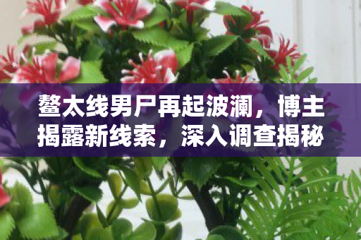 鳌太线男尸再起波澜，博主揭露新线索，深入调查揭秘真相