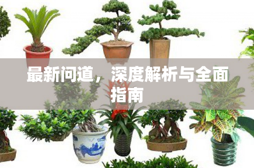 最新问道，深度解析与全面指南