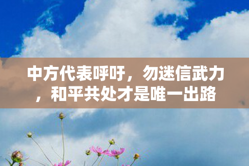 中方代表呼吁，勿迷信武力，和平共处才是唯一出路
