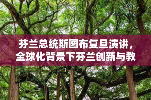 芬兰总统斯图布复旦演讲，全球化背景下芬兰创新与教育发展新动向