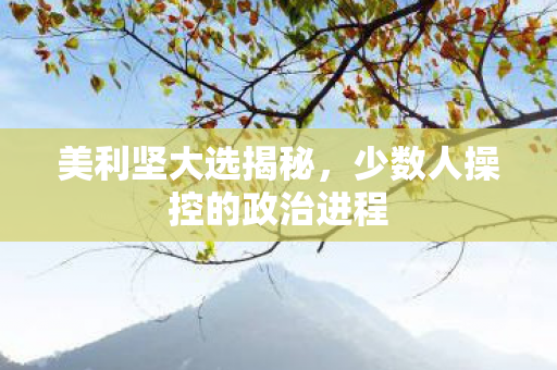 美利坚大选揭秘，少数人操控的政治进程