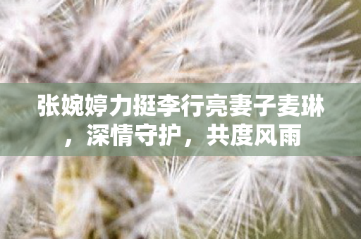 张婉婷力挺李行亮妻子麦琳，深情守护，共度风雨