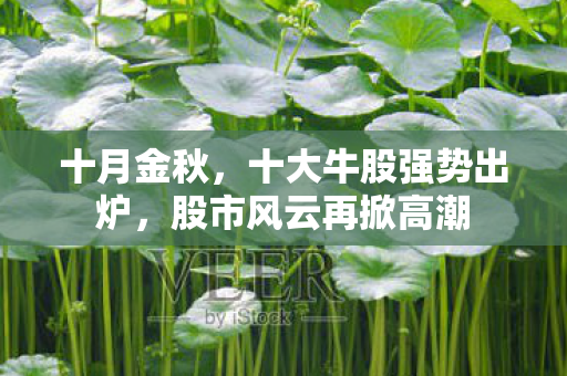 十月金秋，十大牛股强势出炉，股市风云再掀高潮