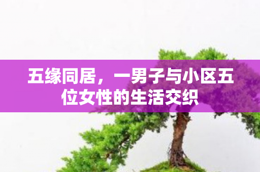 五缘同居，一男子与小区五位女性的生活交织
