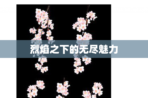 烈焰之下的无尽魅力