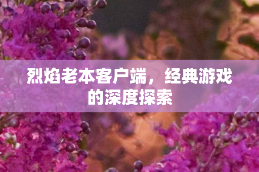 烈焰老本客户端，经典游戏的深度探索