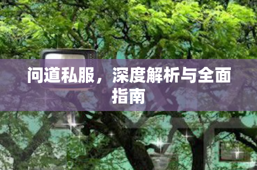 问道私服，深度解析与全面指南