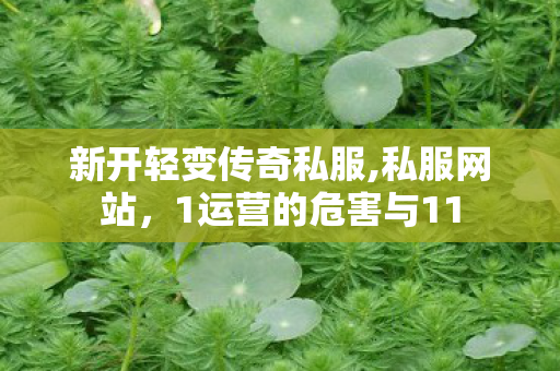 新开轻变传奇私服,私服网站，1运营的危害与11