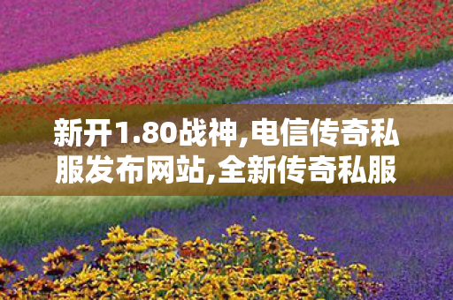 新开1.80战神,电信传奇私服发布网站,全新传奇私服游戏攻略——全面解析与详细介绍