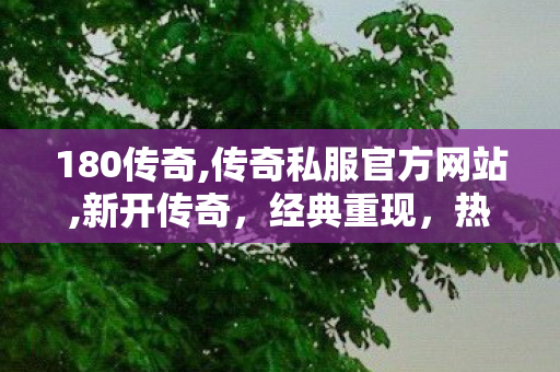 180传奇,传奇私服官方网站,新开传奇，经典重现，热血传奇之旅