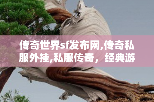 传奇世界sf发布网,传奇私服外挂,私服传奇，经典游戏的重生与玩家新体验